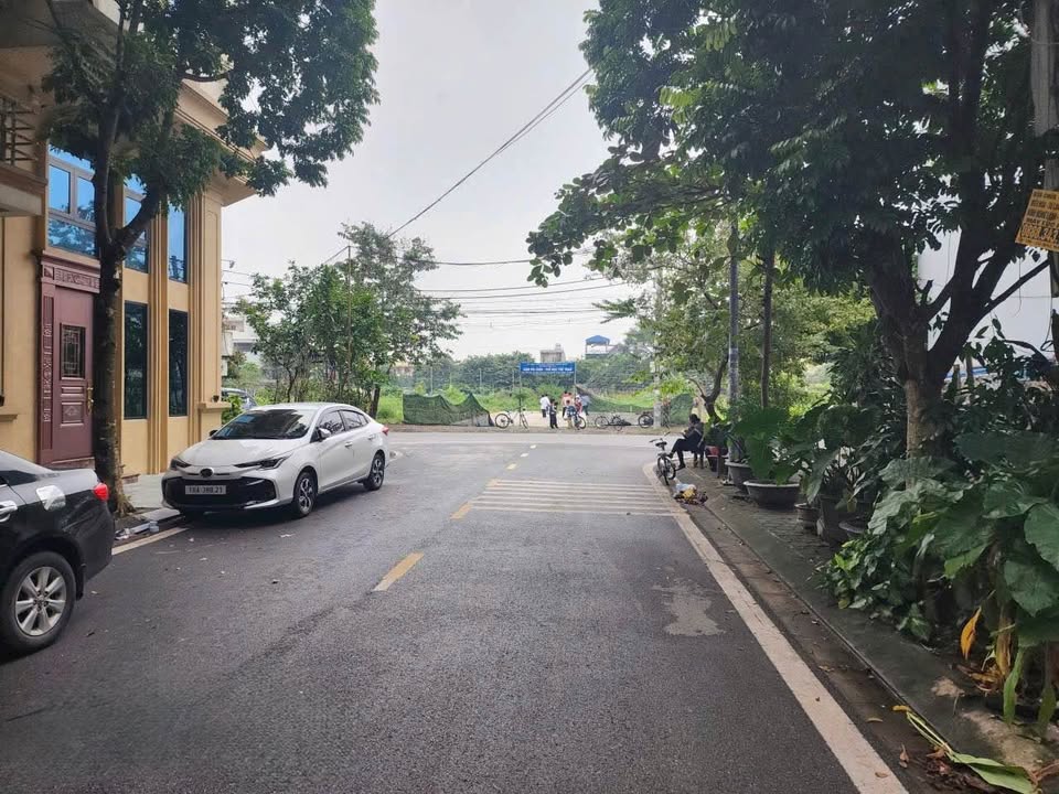 Đất mặt đường Đỗ Huy Liêu, Nam Định 64m² giá 3 tỷ - Cạnh công viên!