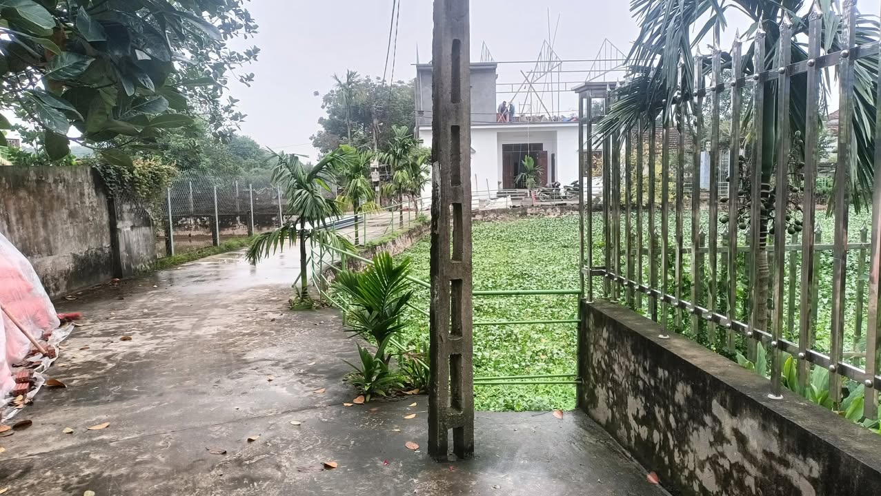 Đất đấu giá Đông Khê Trại, Mỹ Trung 300m² - Cơ hội đầu tư hấp dẫn!