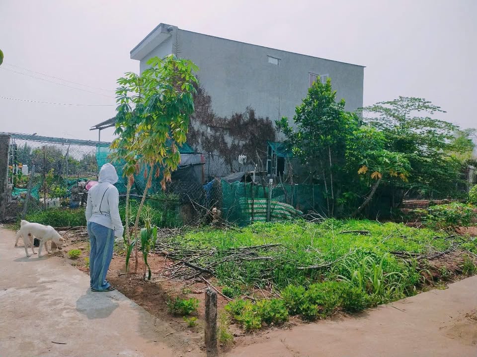 Nhà cấp bốn có gác lửng tại Phước Lại, Cần Giuộc 120m² - Vị trí thuận lợi gần trục đường 826c!