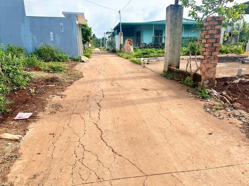 Đất nền Cư Suê, Đắk Lắk 132m² giá 1.19 tỷ - Vị trí đẹp, tiềm năng sinh lời!