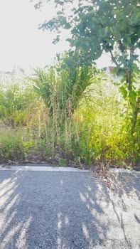 Đất nền KĐT Hà Phương 3 Phủ Lý 87m² giá 2 tỷ - Gần KCN Thanh Liêm