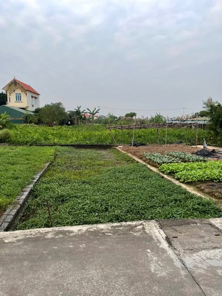 Đất nền Thư Phú, Thường Tín 50m² giá 3 tỷ - Đường ô tô tránh nhau!