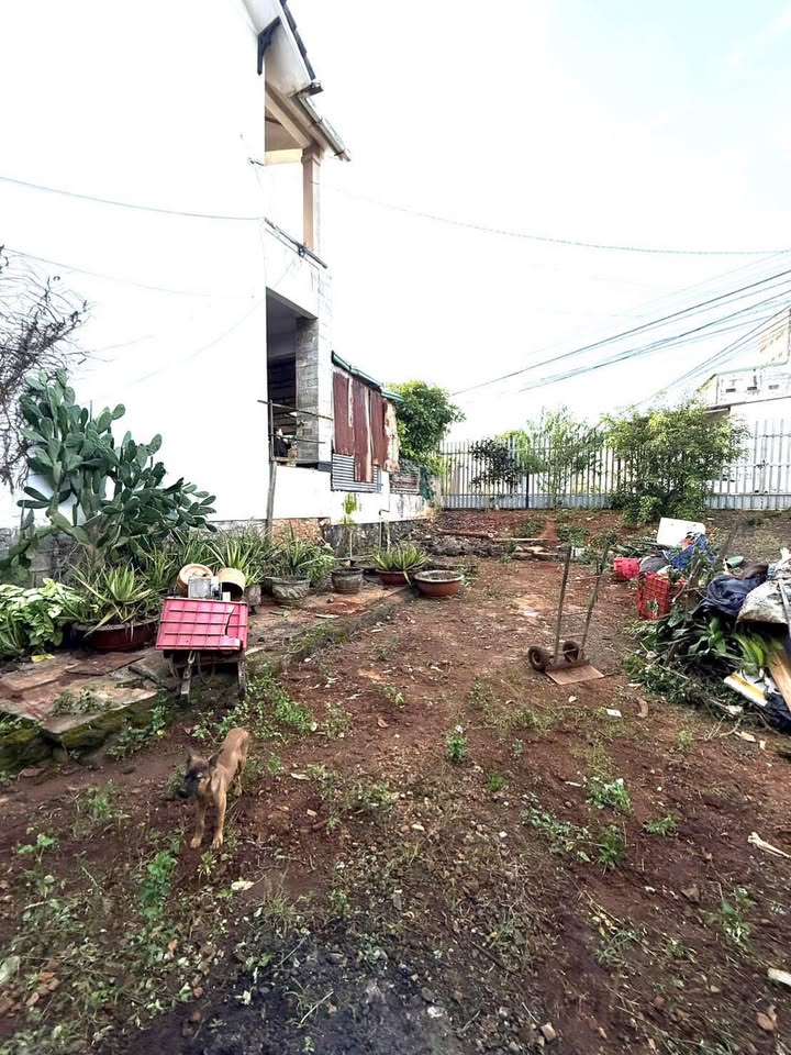 Mặt tiền kinh doanh Dã Tượng Tân An 377m² giá 2.85 tỷ - Đầu tư sinh lời ngay!