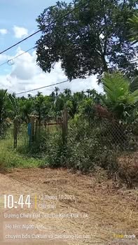 Đất thổ cư Ea Ktur 800m² giá 8 tỷ - Đầu tư sinh lời hấp dẫn!