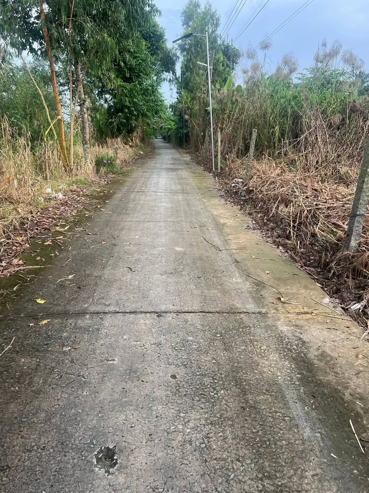 Đất nền Cai Lậy 135m² giá 750 triệu - Sổ hồng chính chủ, thương lượng ngay!