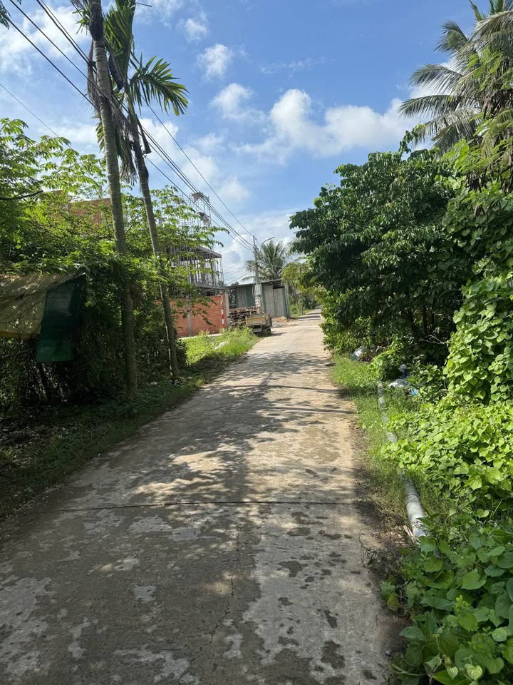 Đất nền mặt tiền đường 19/5, xã Trung An, 337m² giá 1.45 tỷ - Cơ hội đầu tư hiếm có!