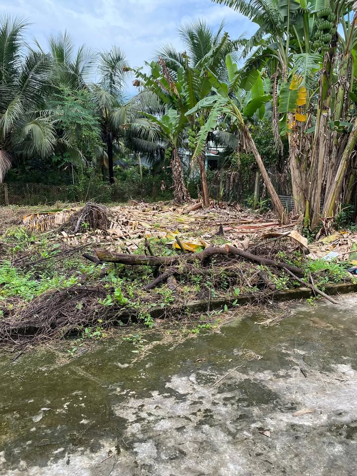 Đất nền liền kề Mỹ Phong 65m² giá chỉ 490 triệu - Cơ hội đầu tư tuyệt vời!