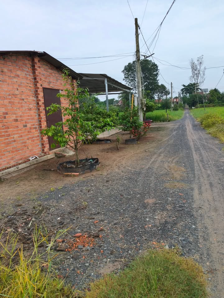 Đất nền An Lộc, An Cơ, Châu Thành Tây Ninh 540m² giá 750 triệu - Cơ hội đầu tư tuyệt vời!