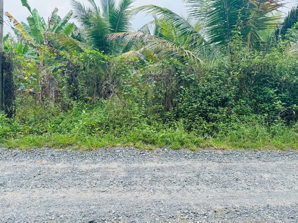 Đất nền Hẻm 25 Suối Muồn, Thái Bình, Châu Thành, 114m² giá 399 triệu - Cơ hội đầu tư tuyệt vời!