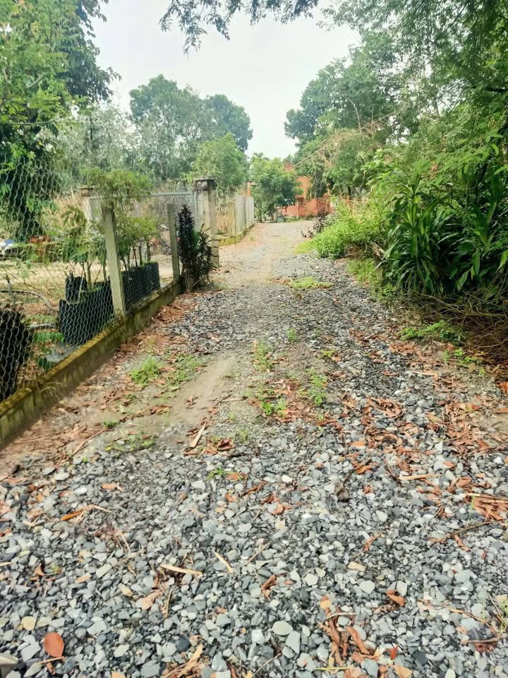 Đất thổ cư Phước Minh Dương Minh Châu 27,000m² - Cơ hội đầu tư lý tưởng!