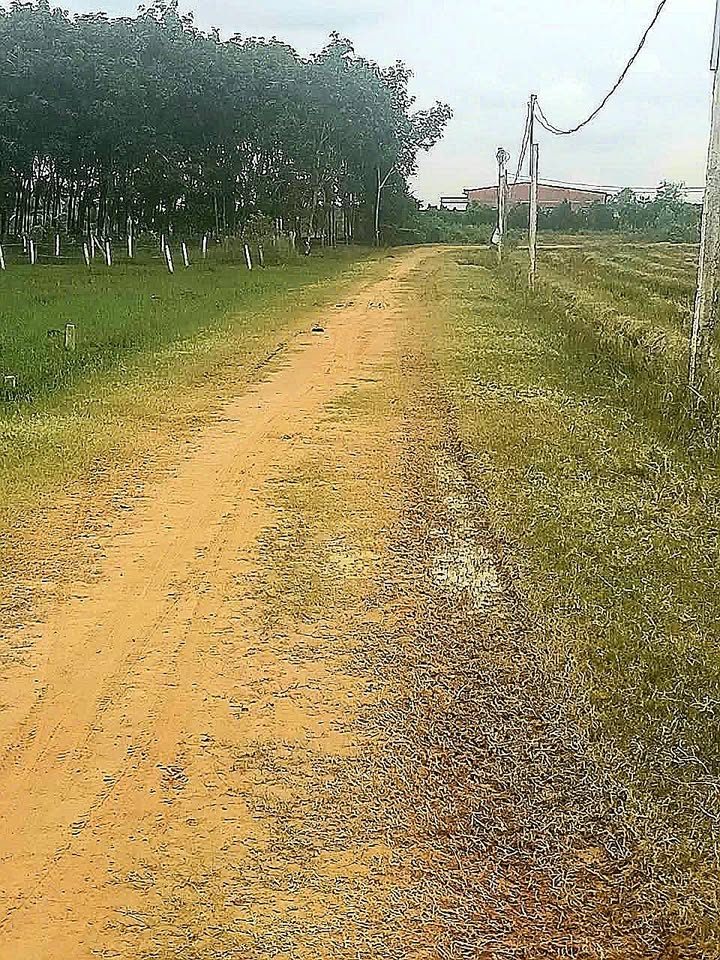 Đất thổ cư 150m² tại Dương Minh Châu, Tây Ninh - Giá chỉ 210 triệu/lô!