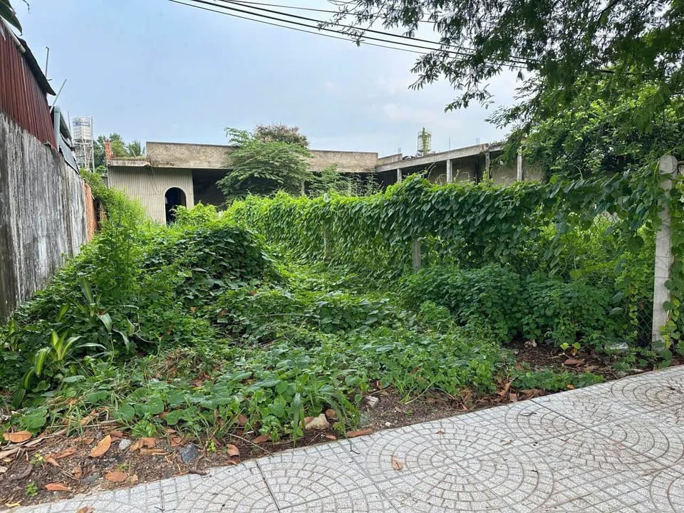 Đất nền Dương Minh Châu Tây Ninh 145m² giá 1.35 tỷ - Pháp lý rõ ràng, sổ đỏ chính chủ!