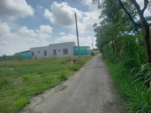 Đất nền Gò Công Đông 175m² giá 440 triệu - Sổ hồng chính chủ, đầu tư sinh lời!