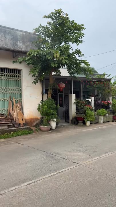 Đất mặt tiền Bến Tràm, Phú Quốc 450m² - Cơ hội kinh doanh tuyệt vời!