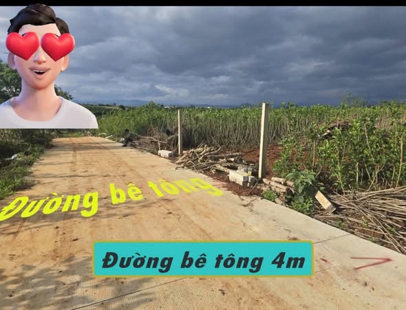 Đất thổ cư xã Tân Hội 222m² giá 480 triệu - Sổ hồng sẵn sàng sang tên!