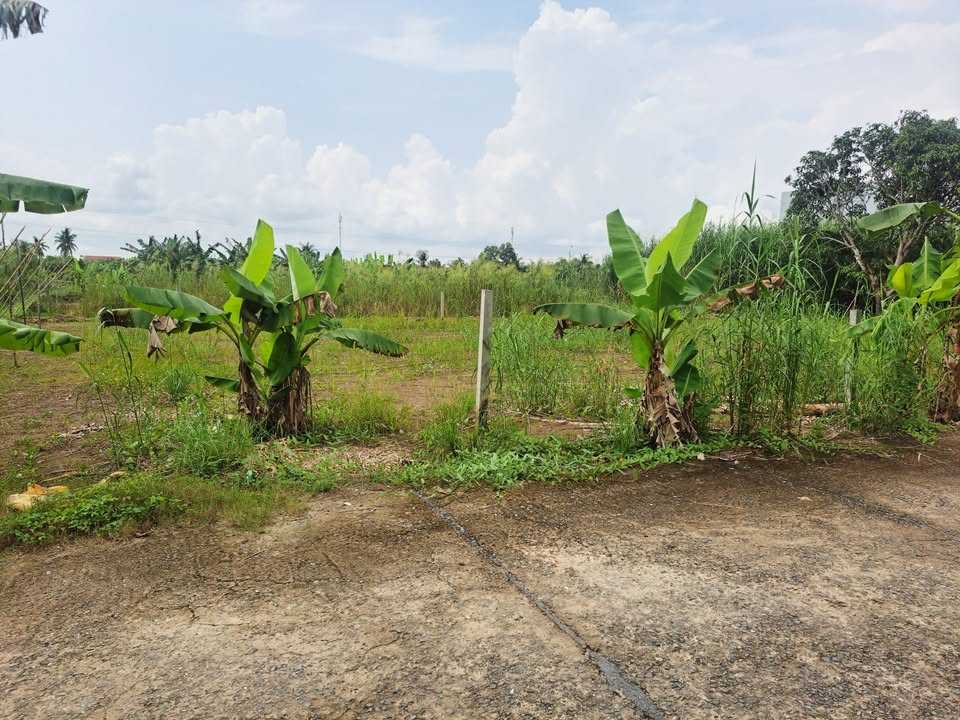 Đất nền thổ cư An Bình, Cần Thơ 110m² - Sổ hồng chính chủ, giá tốt!