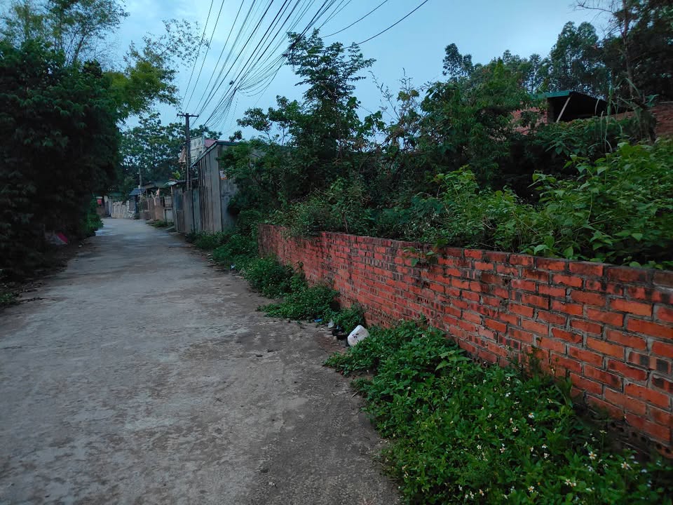 Đất Khu Cẩm Đội - Nông Trang 96m² giá 1 tỷ - Đầu tư sinh lời ngay!