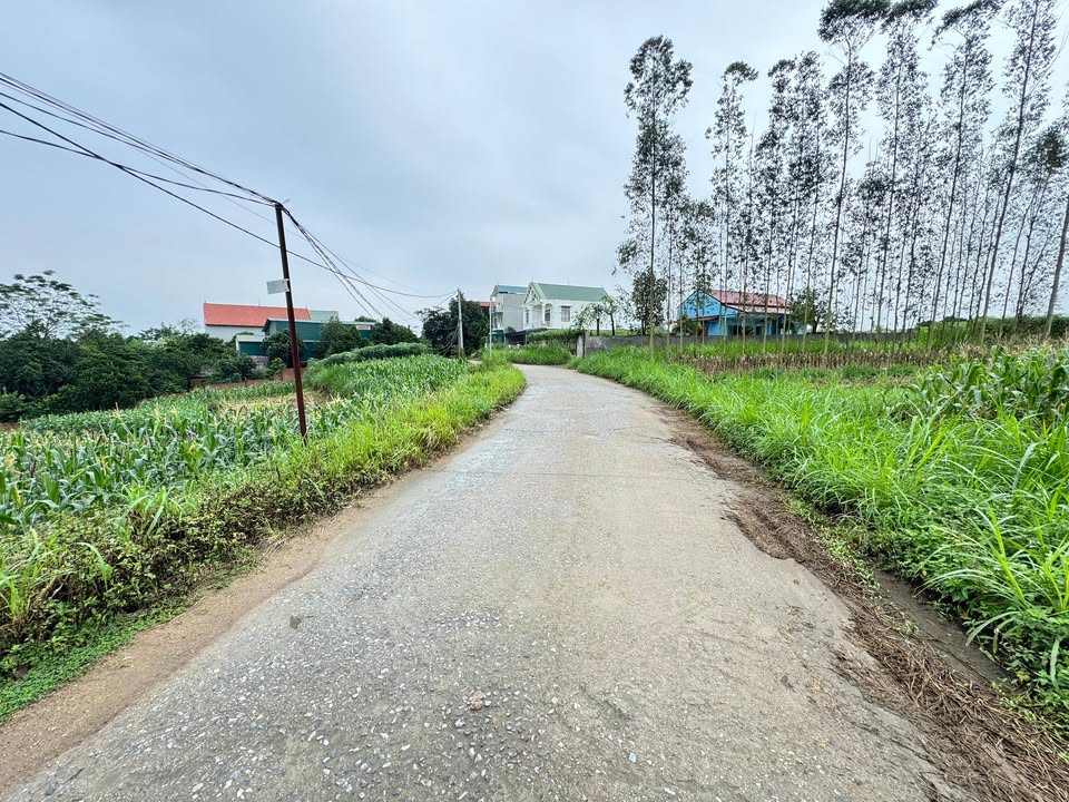 Đất thổ cư Kim Đức, Việt Trì 100m² giá chỉ 1.x tỷ - Bán gấp cho người thiện chí!