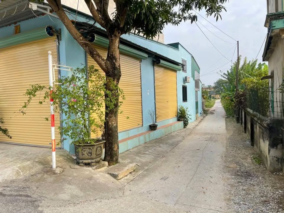 Nhà bán 2 mặt tiền tại Hậu Lộc, Thanh Hóa 89m² - Khu kinh doanh sầm uất!