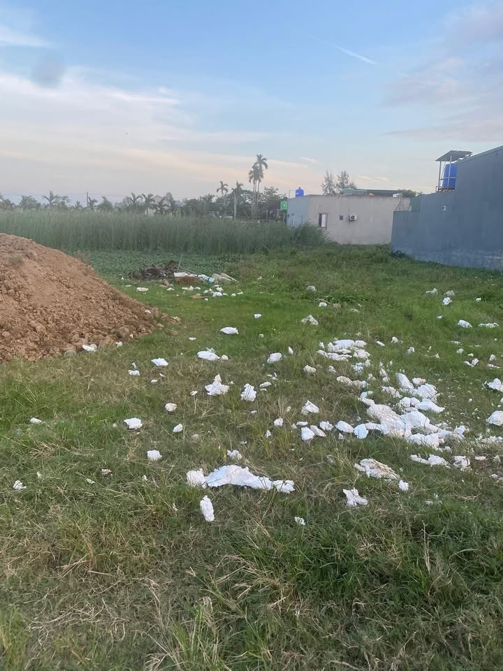 Đất nền Ninh Phú 180m² giá thỏa thuận - Mặt tiền đường ô tô thông thoáng!