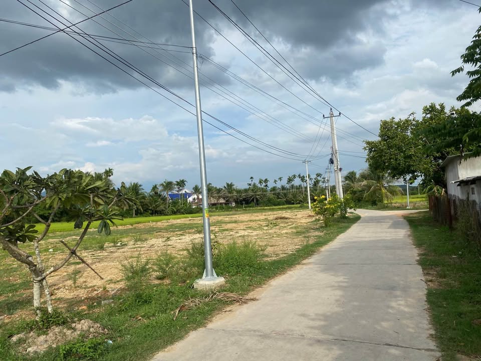 Đất thổ cư 125m² tại Ninh Hòa giá 480 triệu - Đầu tư sinh lời ngay!