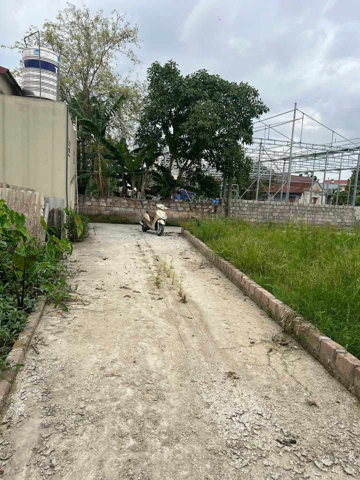 Đất thổ cư thôn Cổng Đất, Hoa Động 72m² giá 1.1 tỷ - Cơ hội đầu tư hấp dẫn!