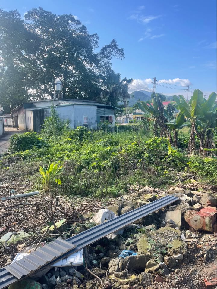 Đất nền Kim Phú Tuyên Quang 150m² giá 1 tỷ - Cơ hội đầu tư sinh lời!