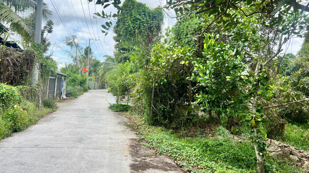 Đất thổ cư Trường Long 67m² giá 550 triệu - Đầu tư sinh lời ngay!