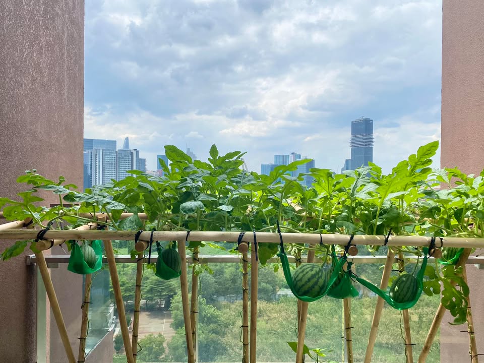 Đất nền góc 2 mặt tiền đường Hoàng Quốc Việt, Cần Thơ 166.6m² - Giá tốt đầu tư!