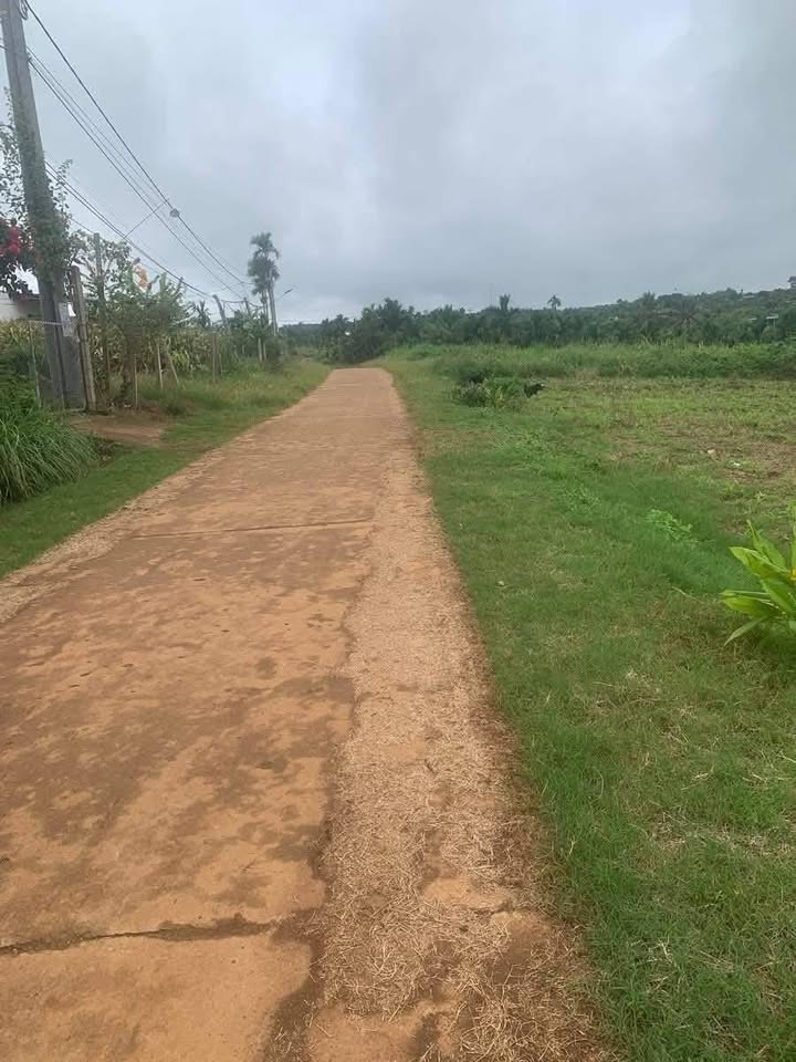 Đất nền Phú Xuân 200m² giá chỉ 200 triệu - Sổ đỏ chính chủ, đầu tư sinh lời!