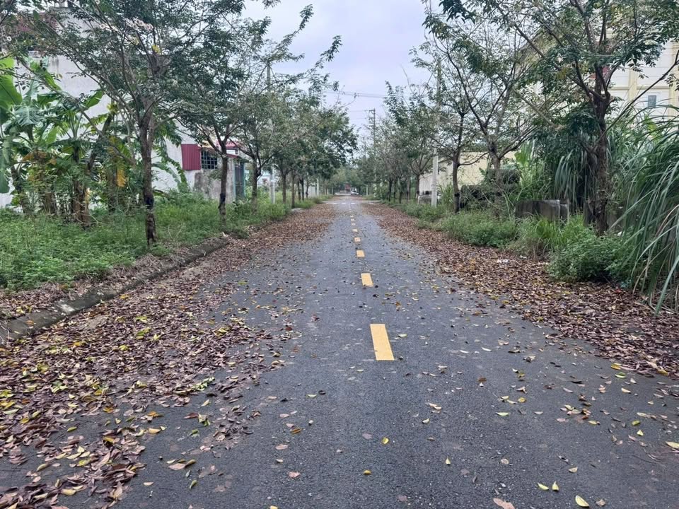 Đất phân lô Thiên Tôn Hoa Lư 85m² giá 4.3 tỷ - Vị trí đắc địa, không thể bỏ qua!