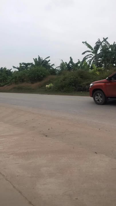 Đất nền Tứ Kỳ 50m² giá thỏa thuận - Vị trí kinh doanh đắc địa!