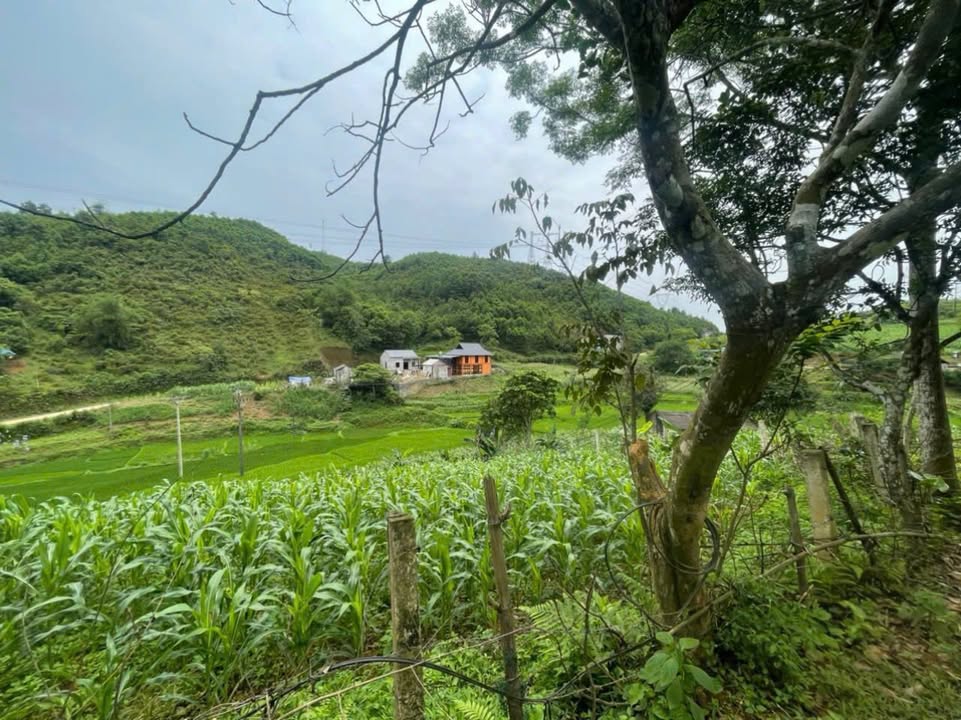 Đất nền nghỉ dưỡng tại xã Phú Cường, huyện Tân Lạc, 2900m² - Giá 1.45 tỷ, cơ hội đầu tư hấp dẫn!