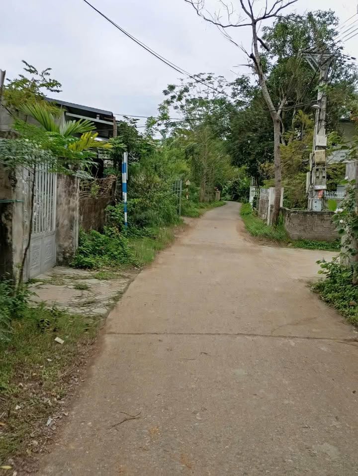 Đất thổ cư Chao Hạ, Nghĩa Lợi 110m² giá chỉ 500 triệu - Cơ hội đầu tư tuyệt vời!