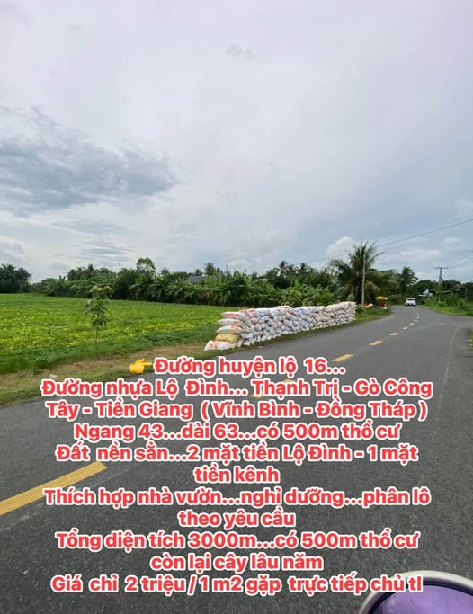 Đất nền 3000m² Thạnh Trị, Gò Công Tây - Giá chỉ 6 tỷ, sẵn thổ cư!