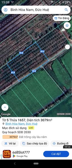 Đất lúa 3000m² tại Bình Hòa Nam, Đức Huệ giá chỉ 900 triệu - Đầu tư sinh lời ngay!