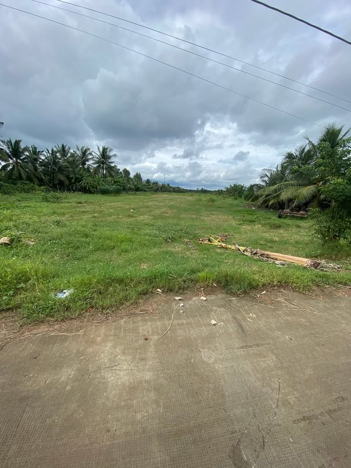 Đất mặt tiền xã Ba Tri 14,000m² - Cơ hội đầu tư hấp dẫn!