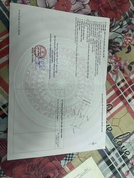 Lô đất Đắc Trí, Định Hòa 115m² giá 500 triệu - Cơ hội đầu tư tuyệt vời!