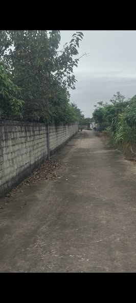 Đất nền Lục Ngạn Bắc Giang 210m² giá 200 triệu - Cơ hội đầu tư sinh lời cao!