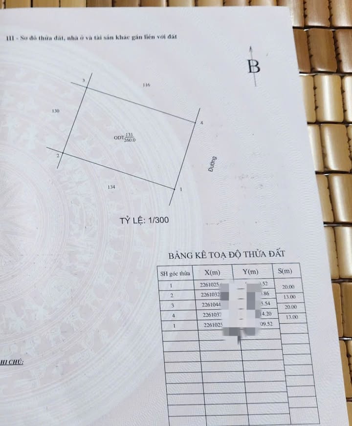 Biệt thự Phạm Văn Nghị, Nam Định 260m² giá 14.5 tỷ - Đầu tư lý tưởng!