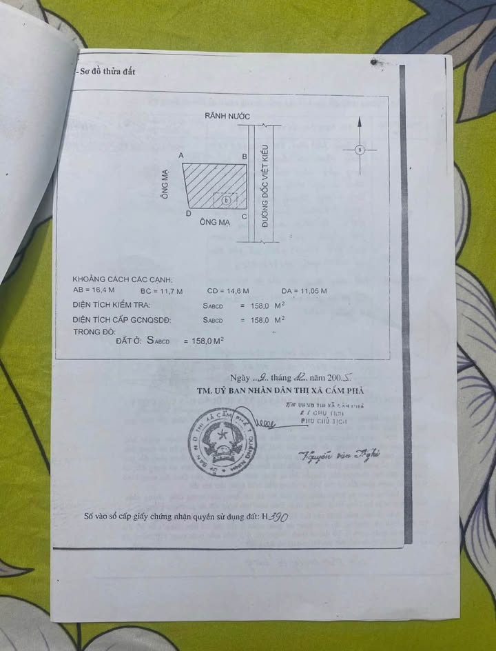 Đất nền Cẩm Phả 195m² giá thỏa thuận - Phù hợp xây biệt thự