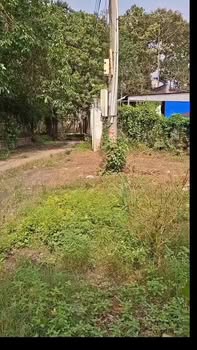 Đất thổ cư 203m² tại Thạnh Đông, Tân Châu - Giá chỉ 399 triệu