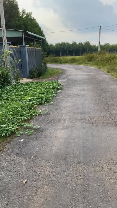 Đất mặt tiền nhựa 570m² tại ấp 4, Suối Dây, Tây Ninh - Khu dân cư đông đúc!