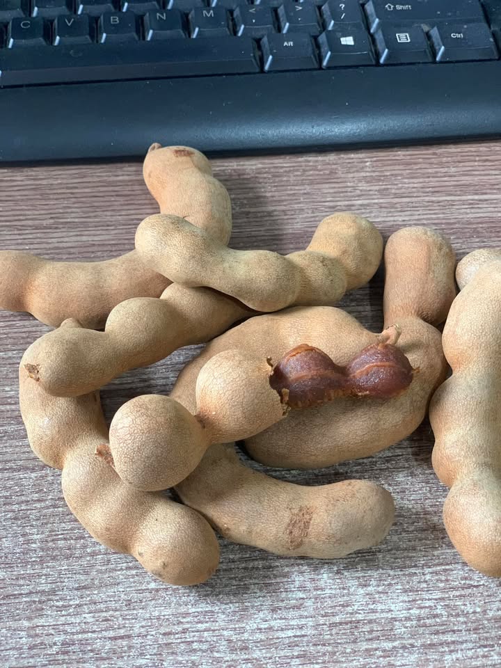 Đất Hẻm 30 Ngô Quyền, Long Hoa 171m² giá 2.045 tỷ - Đầu tư sinh lời ngay!