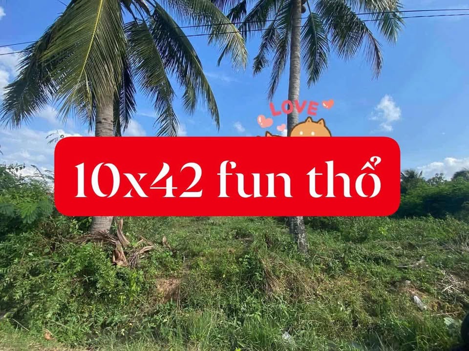 Đất thổ cư 420m² hẻm đường Ngô Quyền, phường Hòa Bình - Cơ hội đầu tư hấp dẫn!