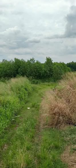 Đất nền Xuân Đông, Cẩm Mỹ 5000m² giá 1.62 tỷ - Đường xe hơi thuận lợi!