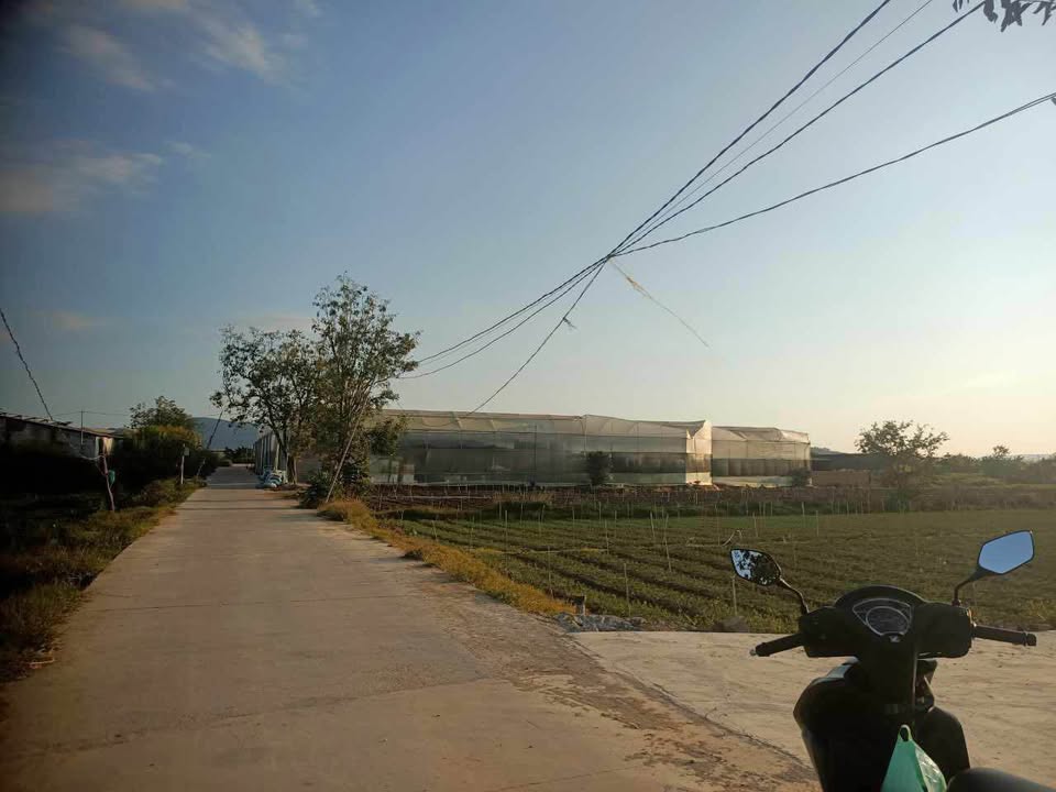 Đất thổ cư 275m² tại Thạnh Mỹ, Đơn Dương giá chỉ 1.399 tỷ - Cơ hội đầu tư tuyệt vời!