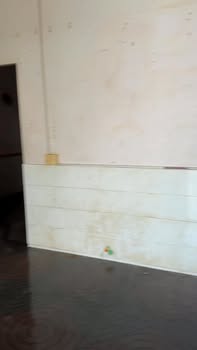 Nhà 2 tầng tại ấp Hòa Bình, xã Hưng Thịnh, 308m² - Đầu tư sinh lời ngay!