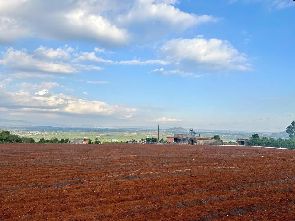 Đất nền Biển Mây Tân Văn Lâm Hà 255m² giá chỉ 460 triệu - View săn mây tuyệt đẹp!