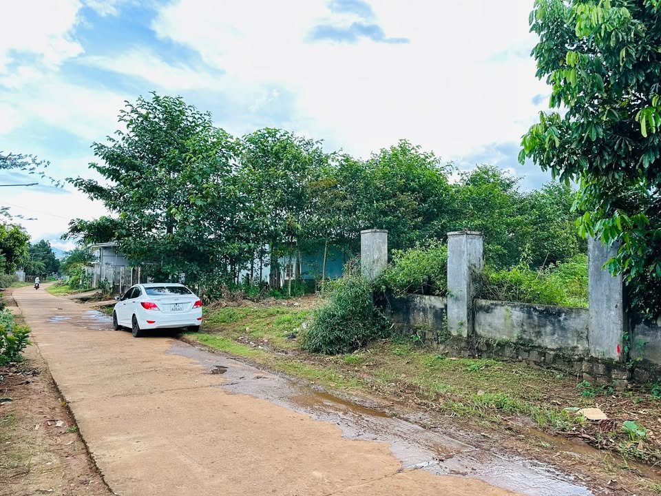 Đất nền An Phú - Pleiku 125m² giá chỉ 500 triệu - Cơ hội đầu tư tuyệt vời!